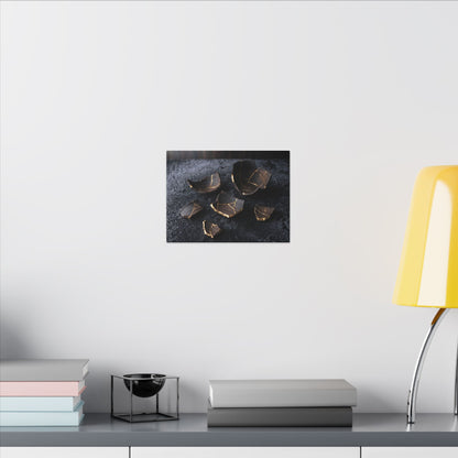 Winter Broken Pottery Shadow Zen Canvas Art | Bold Decor