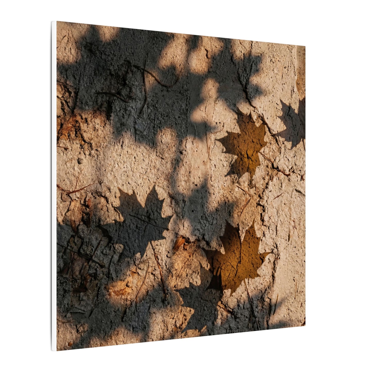 Cozy Shadow Play Canvas Art - Texture Japandi