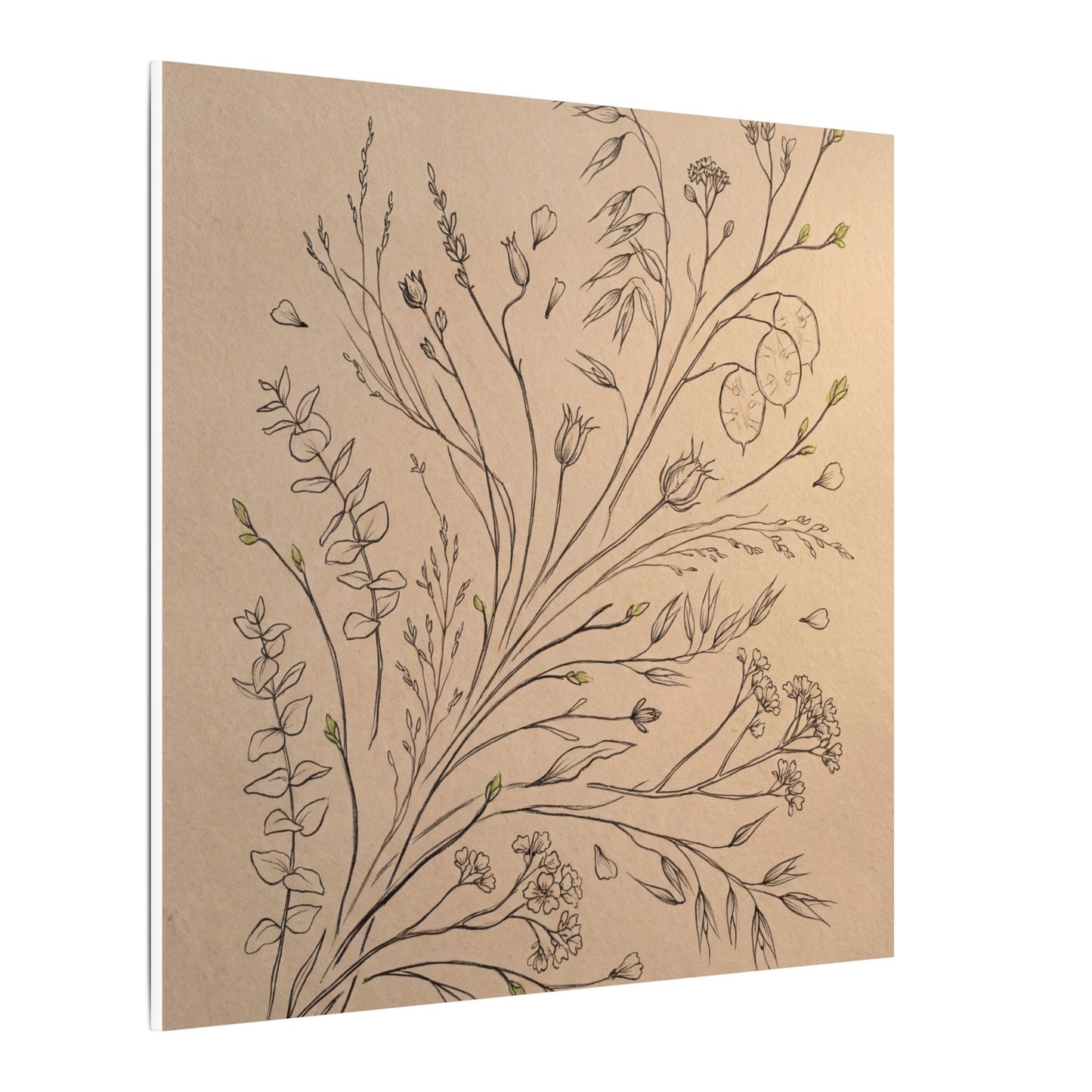 Dried Flowers Canvas Art | Spring Japandi Minimal Line Art