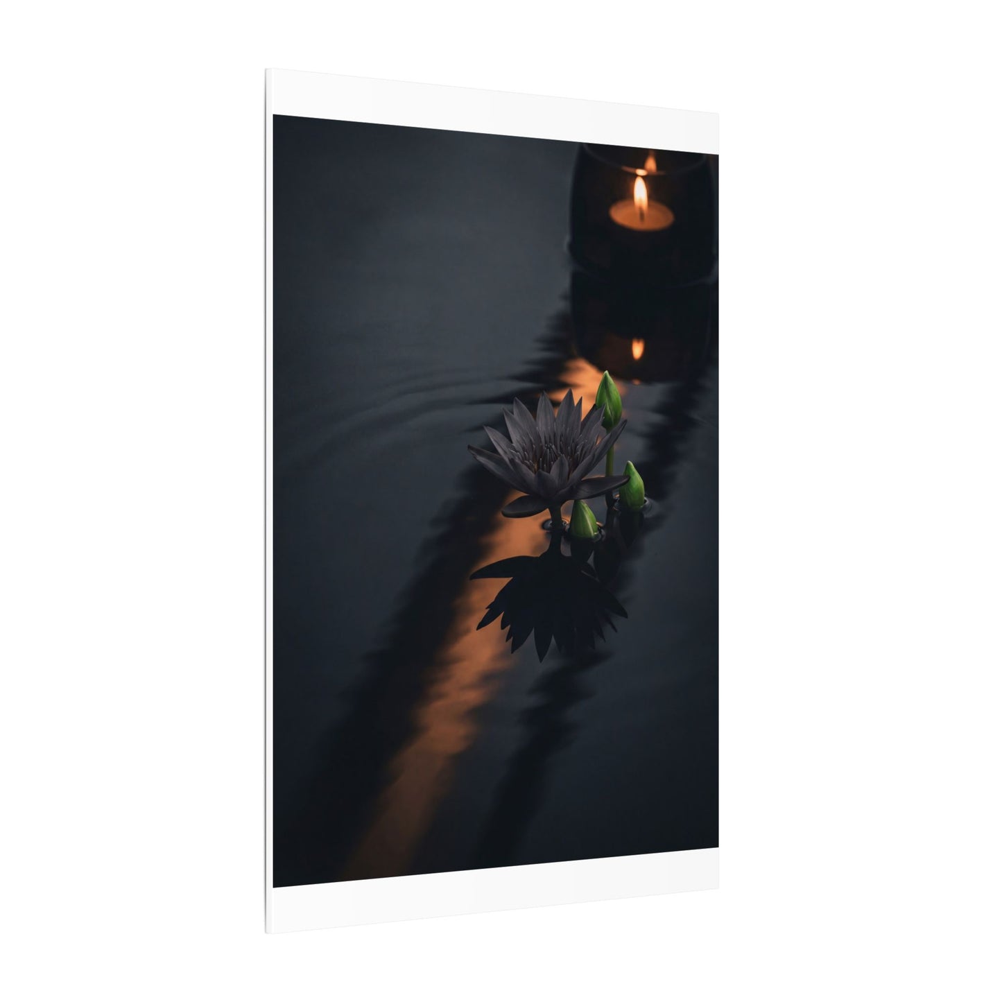 Seijaku Lotus Flower Canvas Art - Dark Japandi Shadow Zen