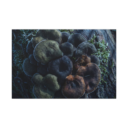 Wild Mushrooms Moody Minimal Canvas Art | Moody Dark Japandi Art