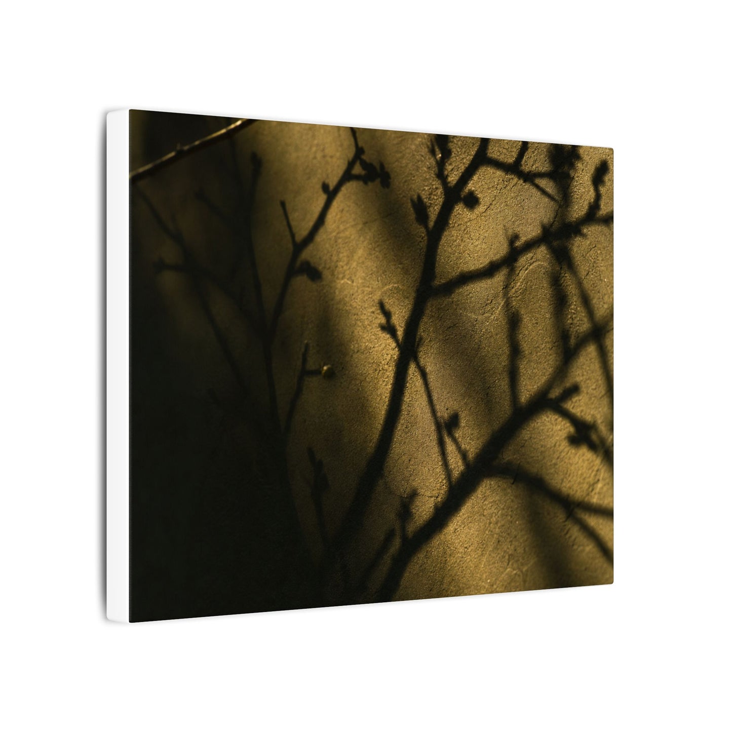 Golden Hour Shadow Play Canvas Art - Dark Japandi Seijaku