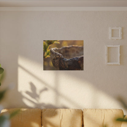 Golden Hour Ceramic Bowl Canvas Art - Dark Japandi Ma