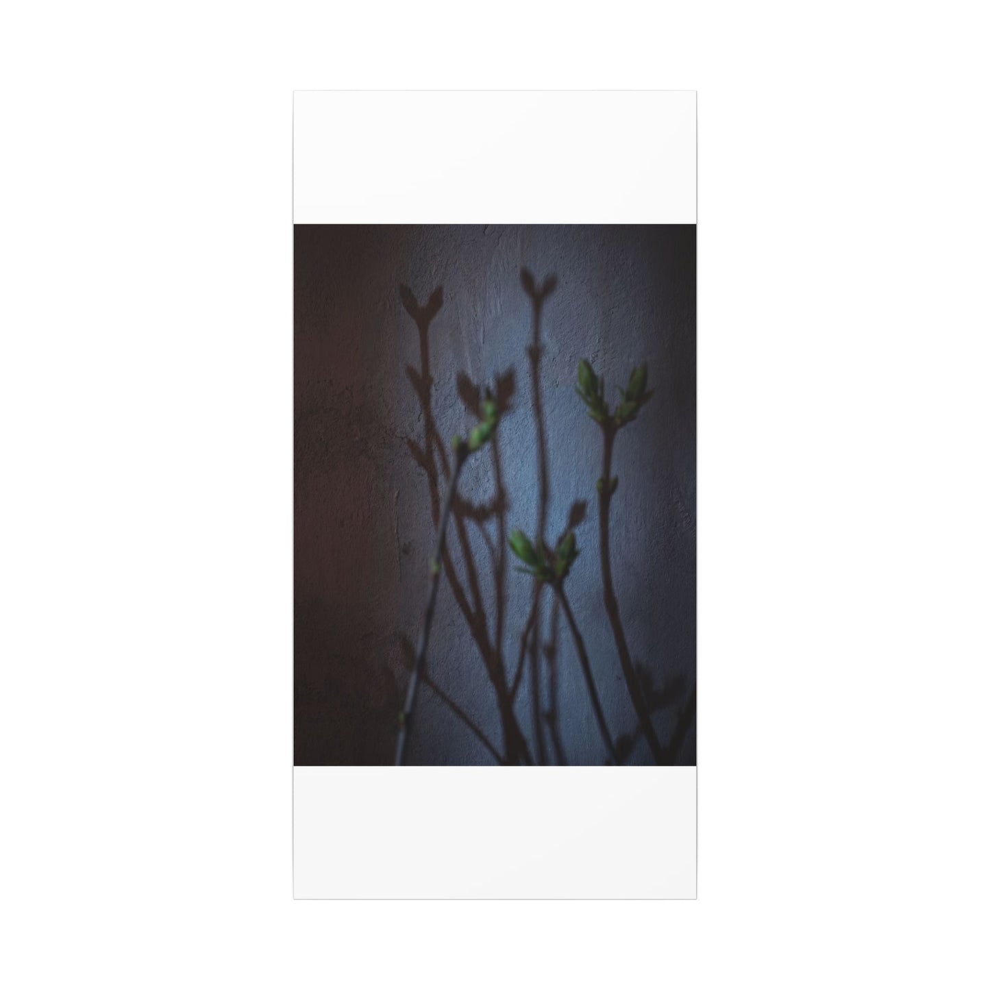 Shadow Play Spring Canvas Art | Dark Japandi Sophisticated Design