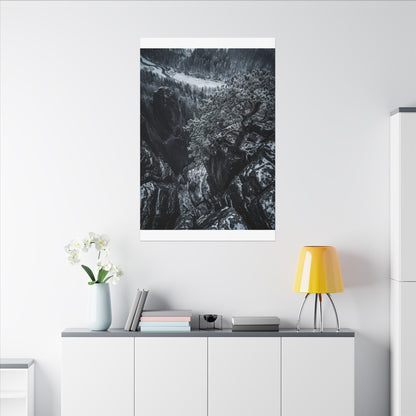 Dark Japandi Pine Tree in Dappled | Dark Texture Canvas Art
