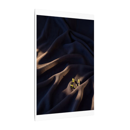 Silk Drape Shadow Zen Canvas Art | Luxurious Dark Japandi Art