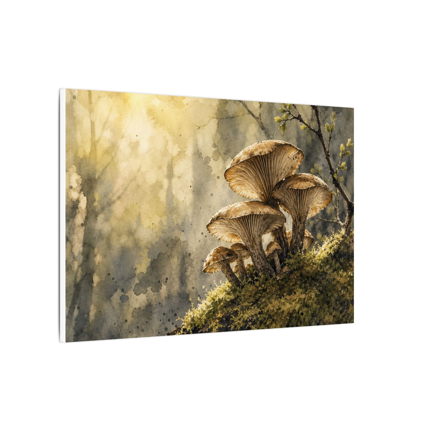 Wild Mushrooms Canvas Art | Spring Japandi Watercolor Art