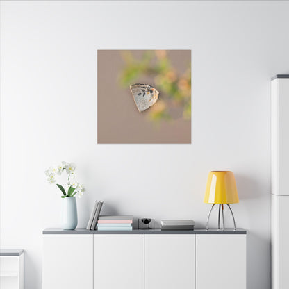 Ceramic Bowl Canvas Art | Spring Japandi Japanese Pattern Art