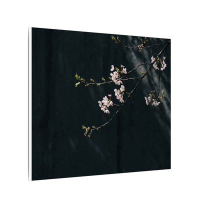 Cherry Blossom Spring Canvas Art | Dark Japandi Sophisticated Design
