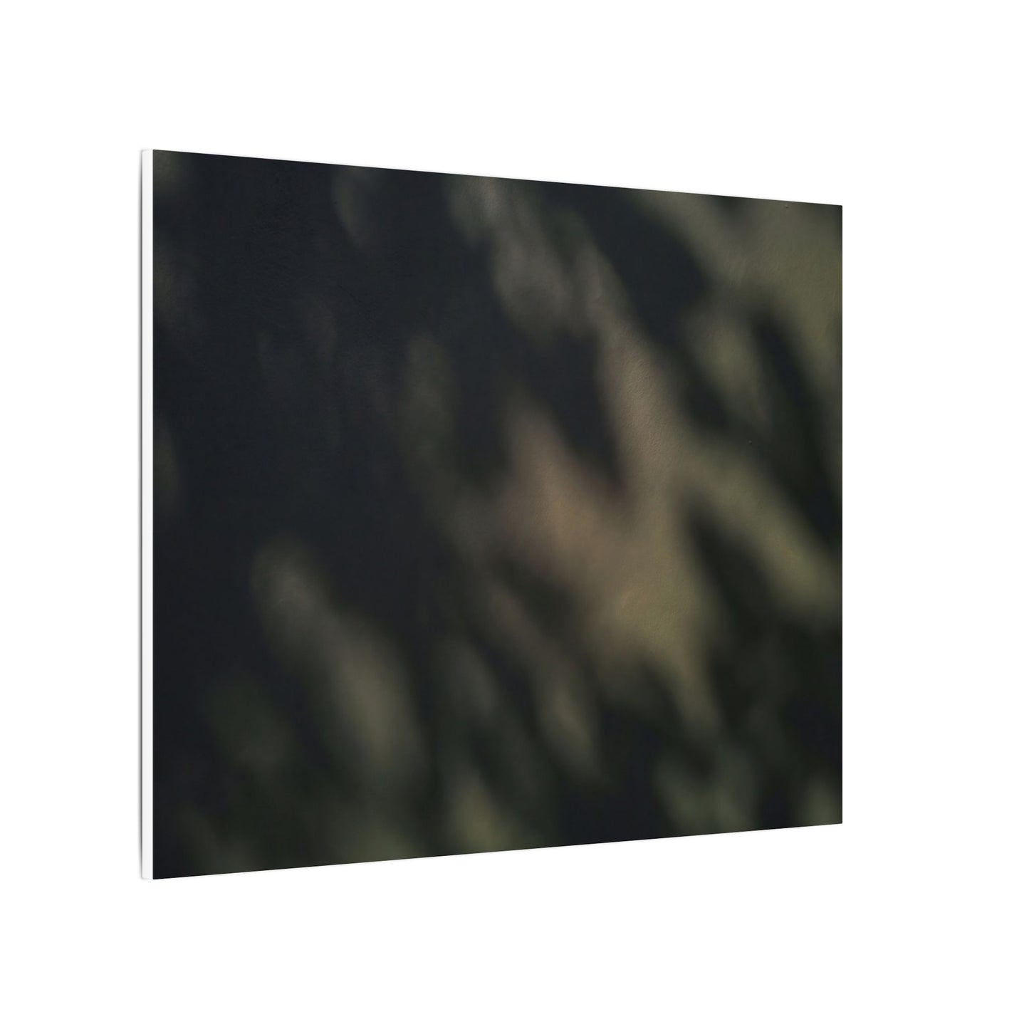 Dappled Shadow Play Canvas Art - Dark Japandi Ma
