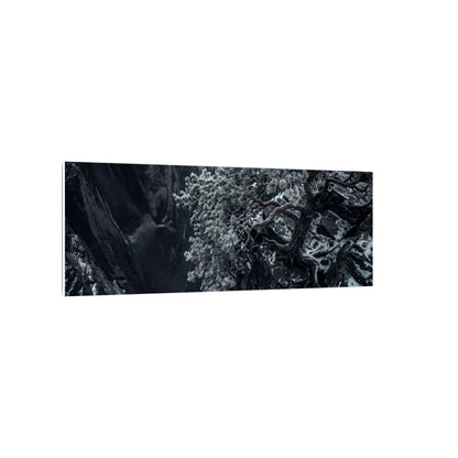 Dark Japandi Pine Tree in Dappled | Dark Texture Canvas Art