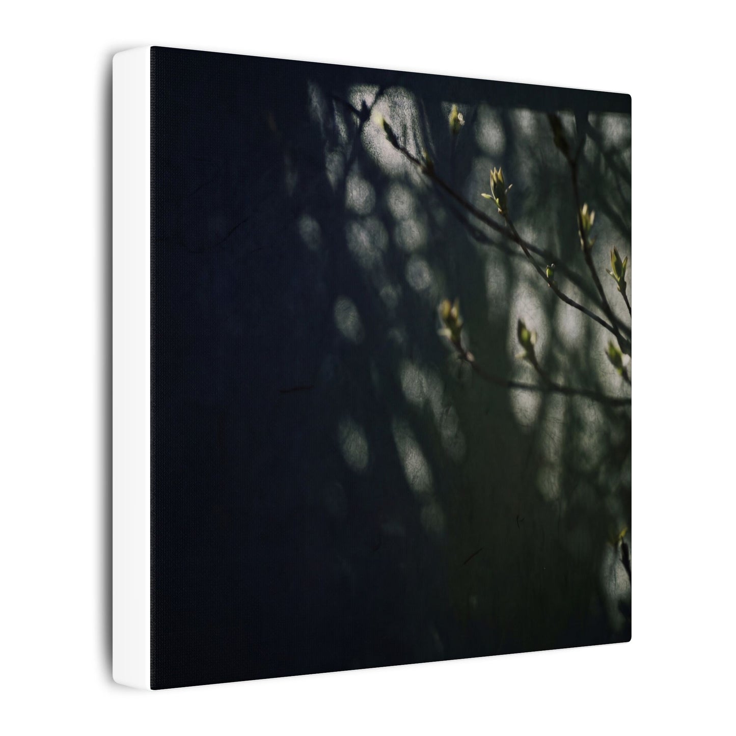 Dark Japandi Shoji Screen in Dappled | Moody Minimal Canvas Art