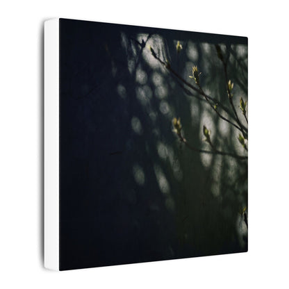 Dark Japandi Shoji Screen in Dappled | Moody Minimal Canvas Art