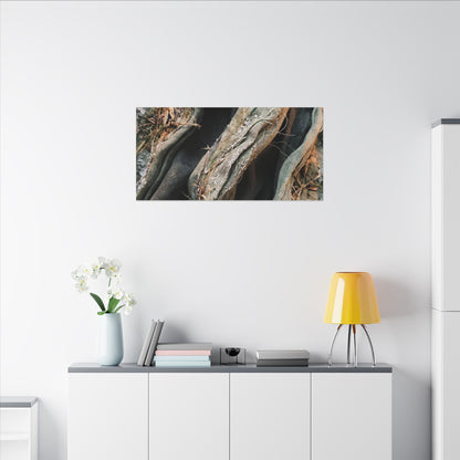 Silk Drape Winter Canvas Art | Japandi Cozy Design