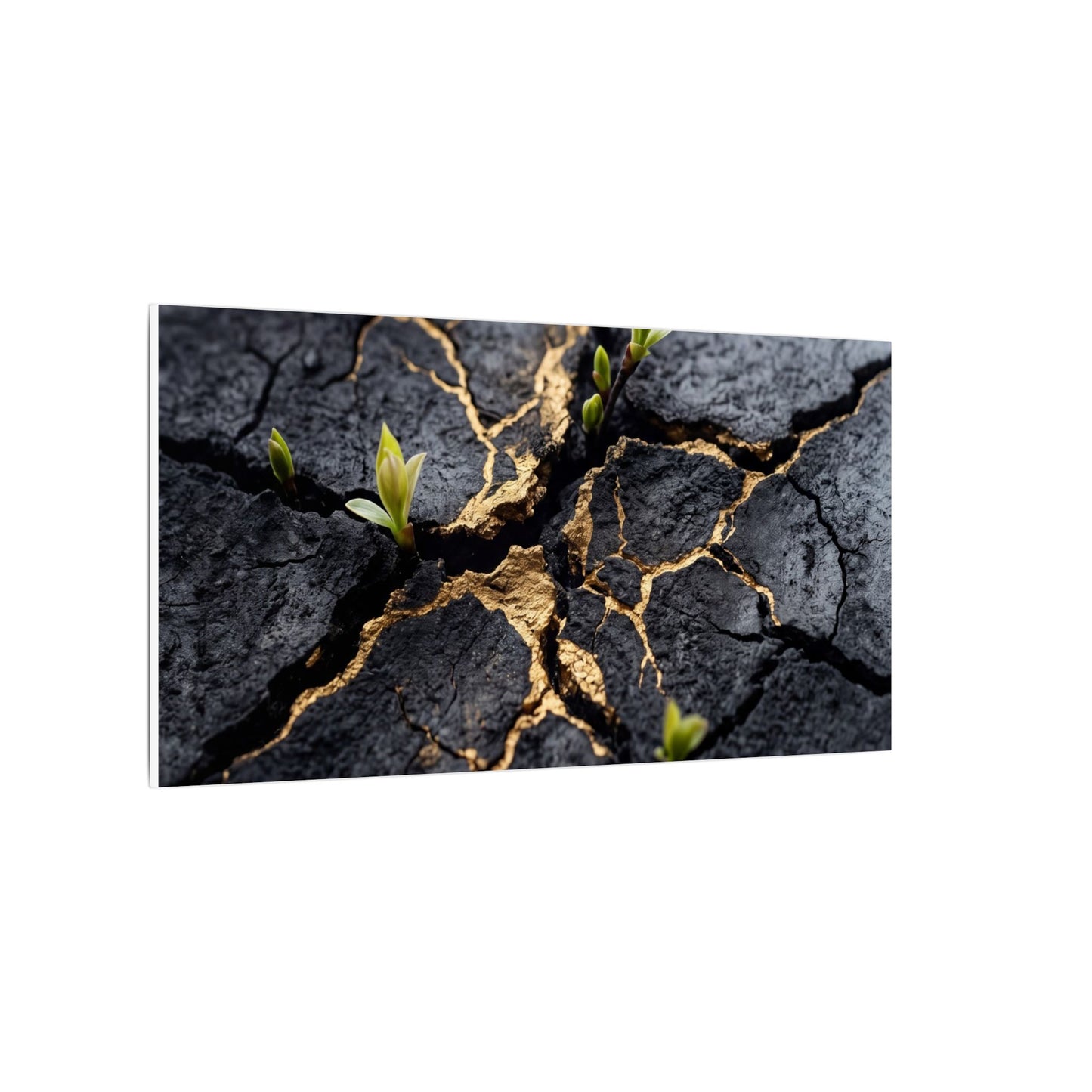 Ma Cracked Earth Canvas Art - Dark Japandi Charcoal Ink