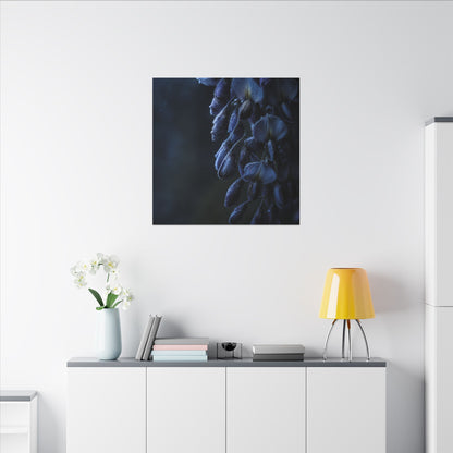 Winter Wisteria Shadow Zen Canvas Art | Atmospheric Decor