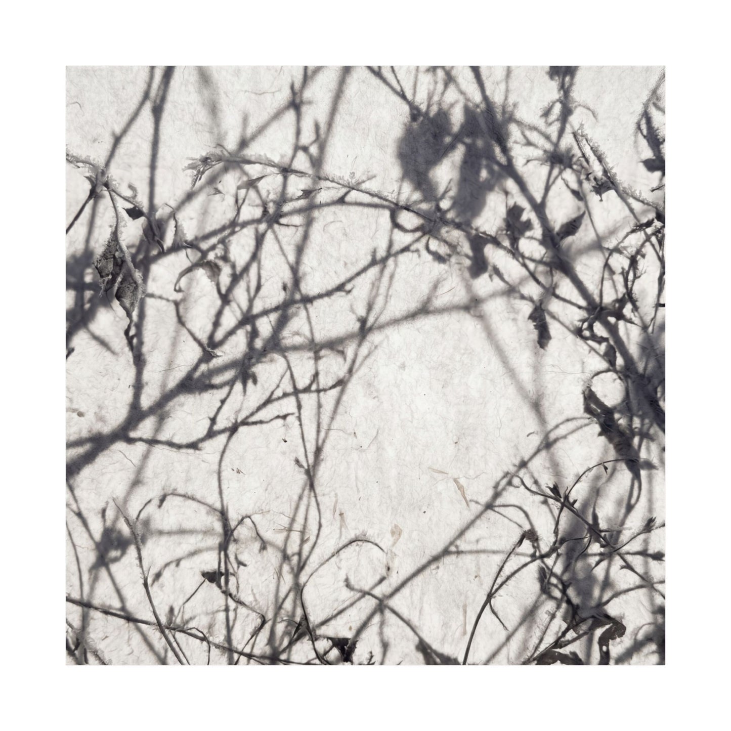 Shadow Play Wall Art Print | Winter Japandi Japanese Pattern Art