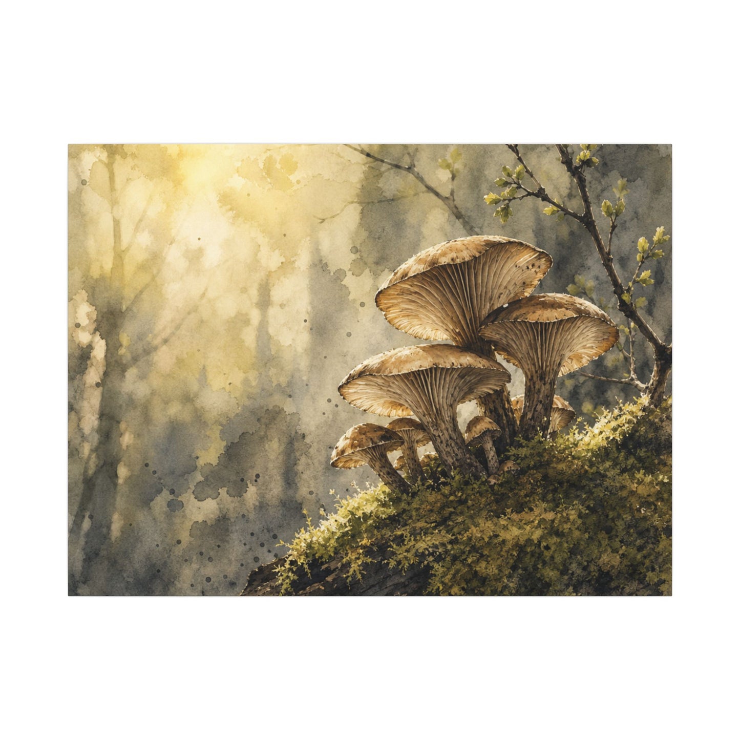 Wild Mushrooms Canvas Art | Spring Japandi Watercolor Art