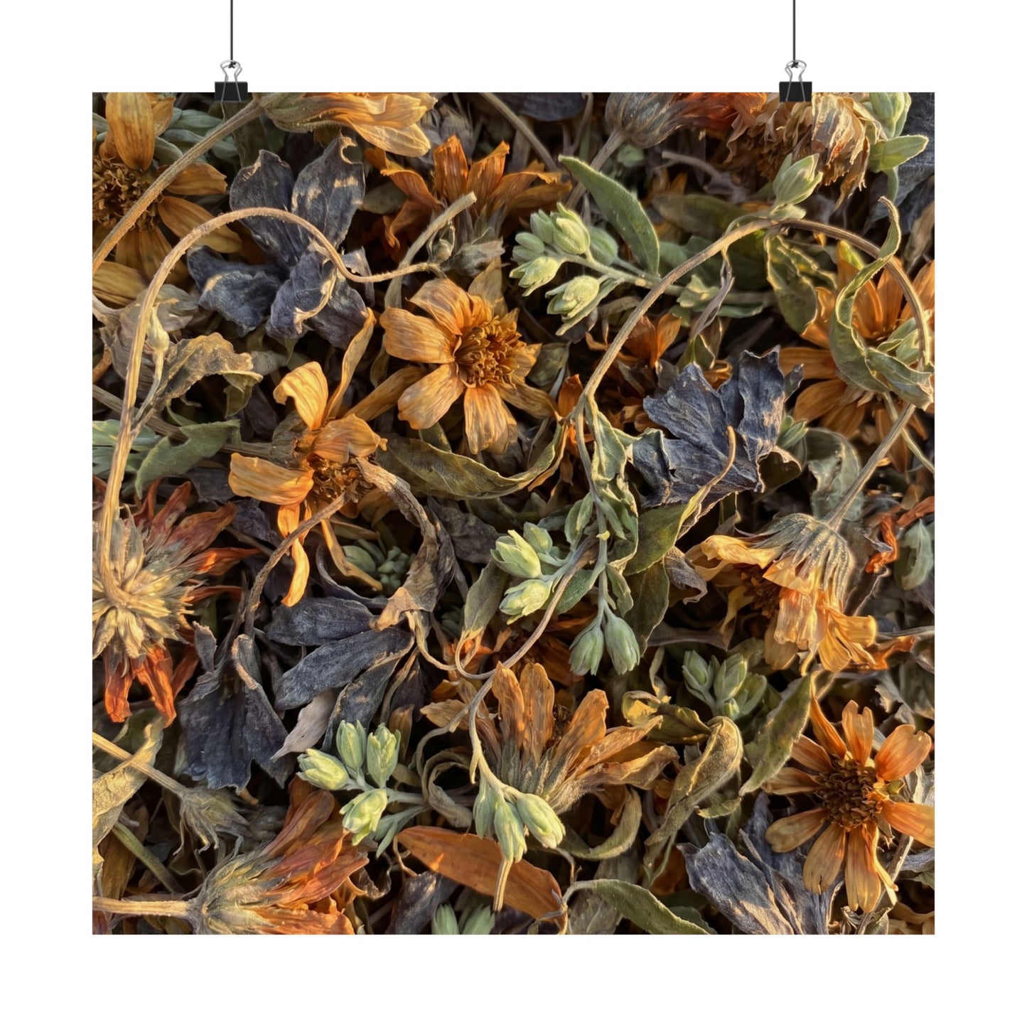 Spring Dried Flowers Japanese Pattern Wall Art Print | Warm Decor