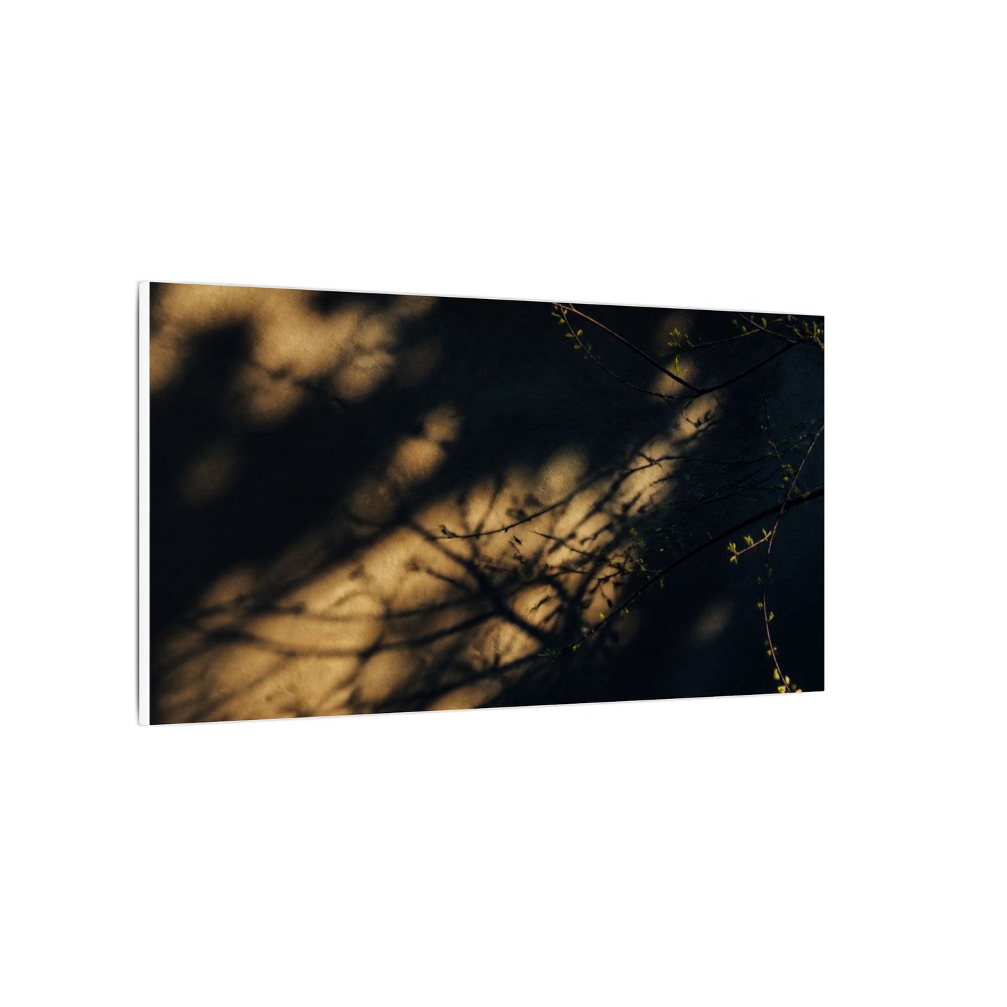 Moody Shadow Play Canvas Art - Moody Minimal Dark Japandi