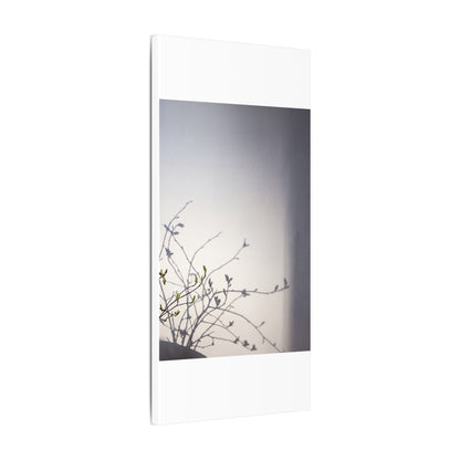 Japandi Shadow Play in Dawn | Japanese Pattern Canvas Art
