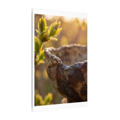 Golden Hour Ceramic Bowl Canvas Art - Dark Japandi Ma