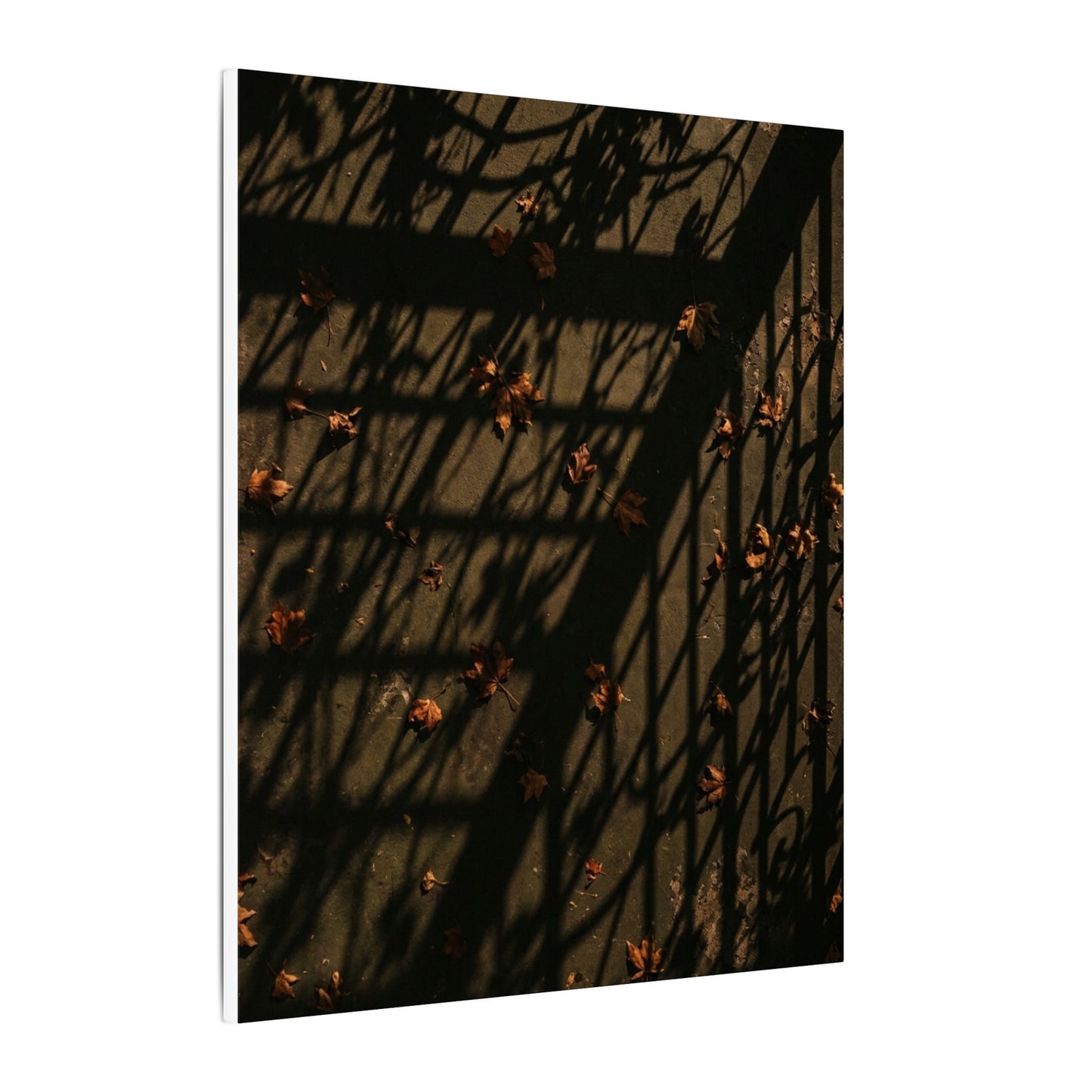 Shadow Play Canvas Art | Autumn Dark Japandi Moody Minimal Art
