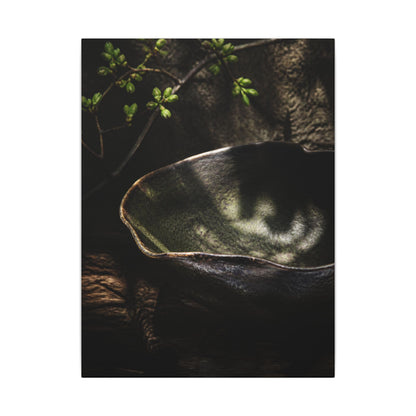 Sophisticated Ceramic Bowl Canvas Art - Dark Texture Dark Japandi