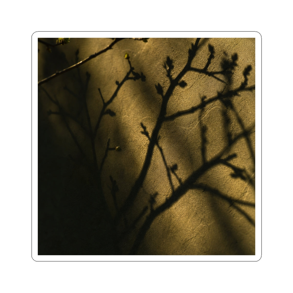 Moody Shadow Play Sticker - Shadow Zen Dark Japandi