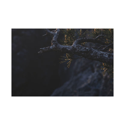 Pine Tree Moody Minimal Canvas Art | Sophisticated Dark Japandi Art Art Print