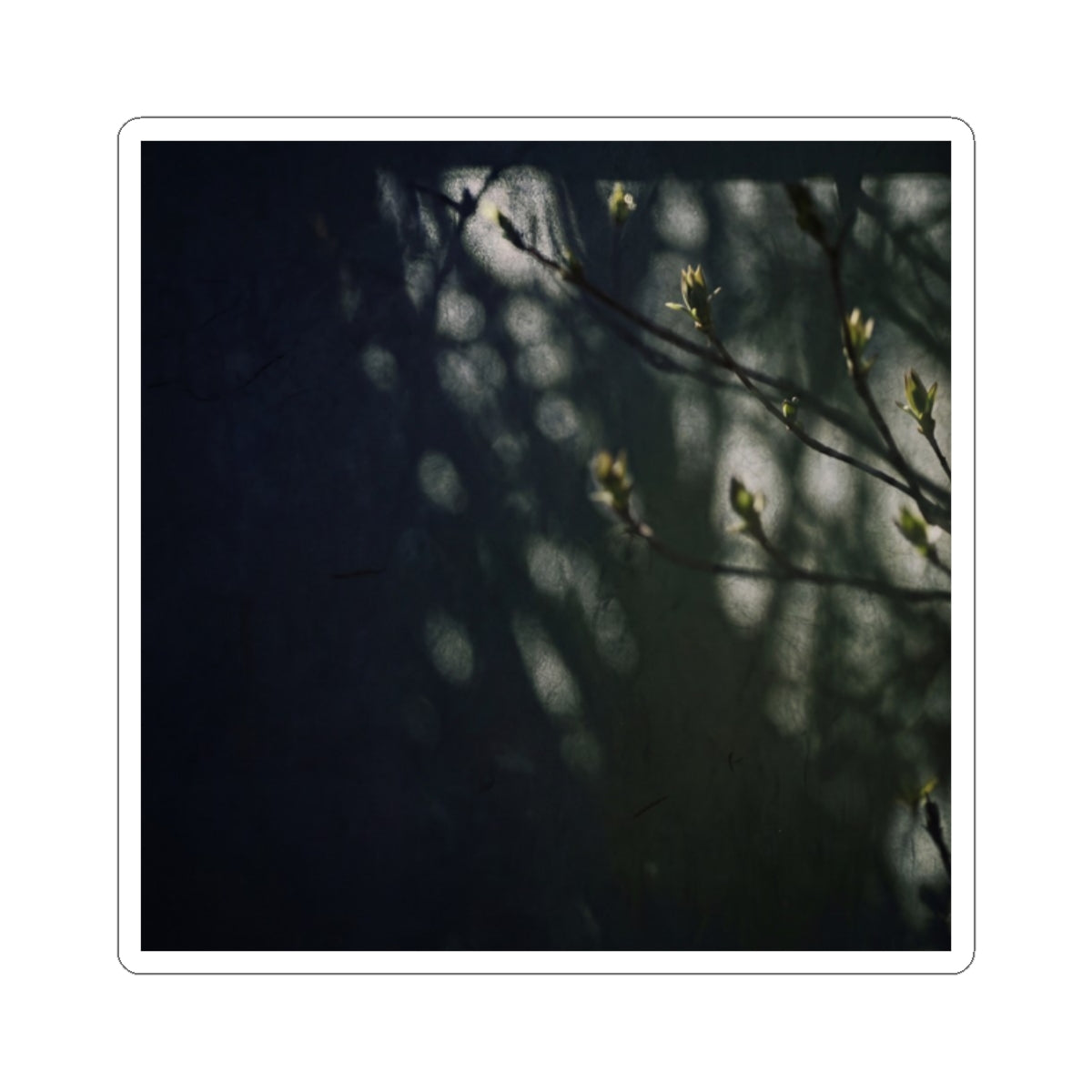 Shoji Screen Sticker | Spring Dark Japandi Moody Minimal Art Art Print