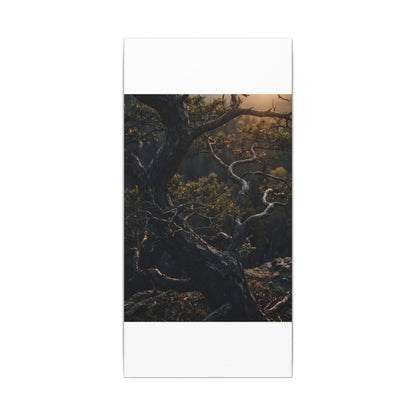 Moody Pine Tree Canvas Art - Moody Minimal Dark Japandi