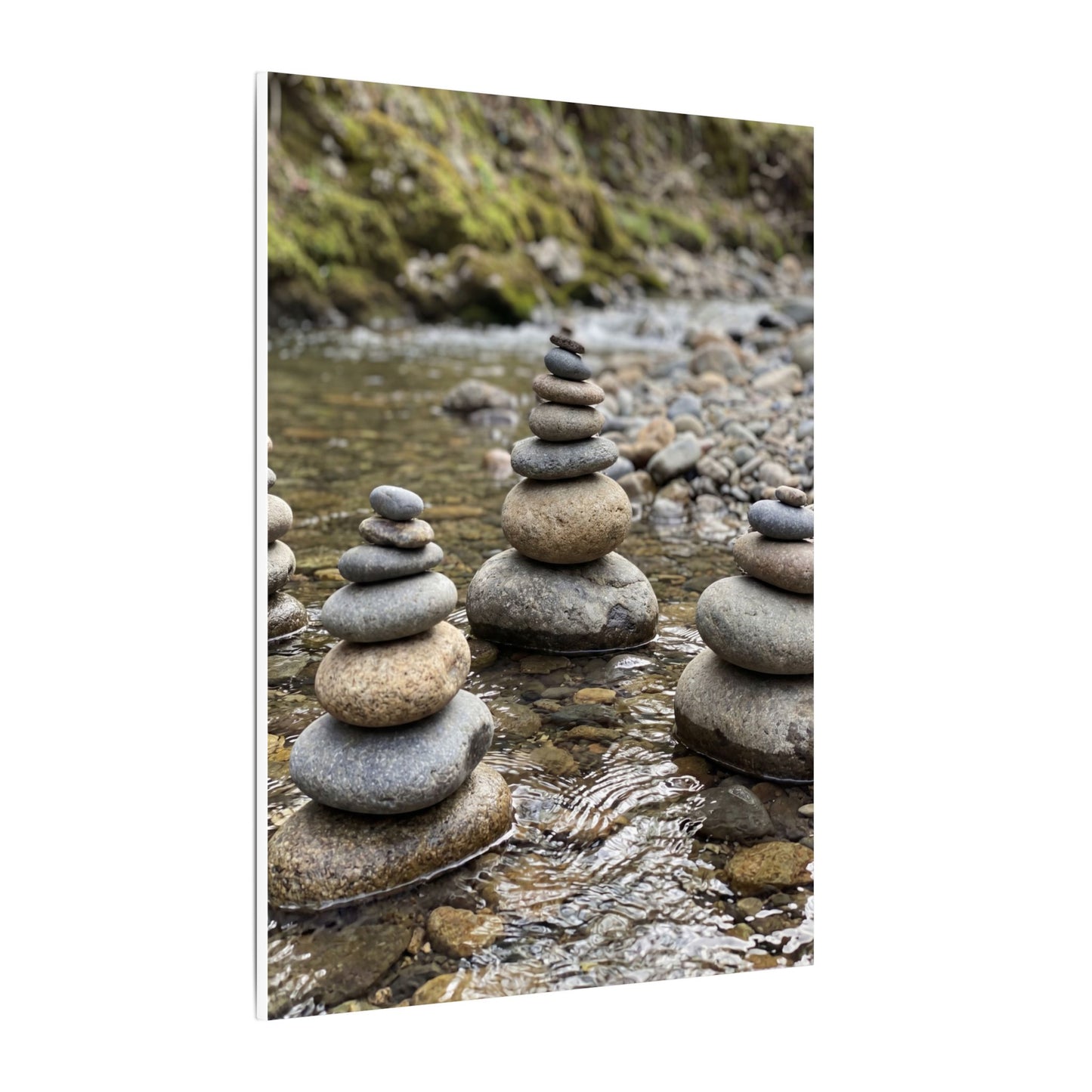 Bamboo Grove Winter Canvas Art | Zen Serene Design