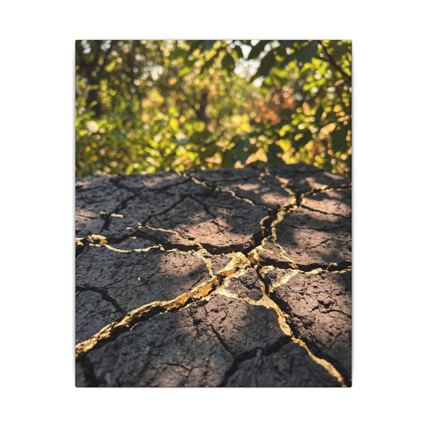 Shibui Cracked Earth Canvas Art - Kintsugi Gold Repair