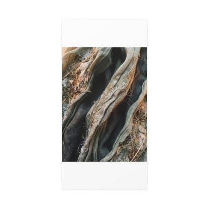 Silk Drape Winter Canvas Art | Japandi Cozy Design