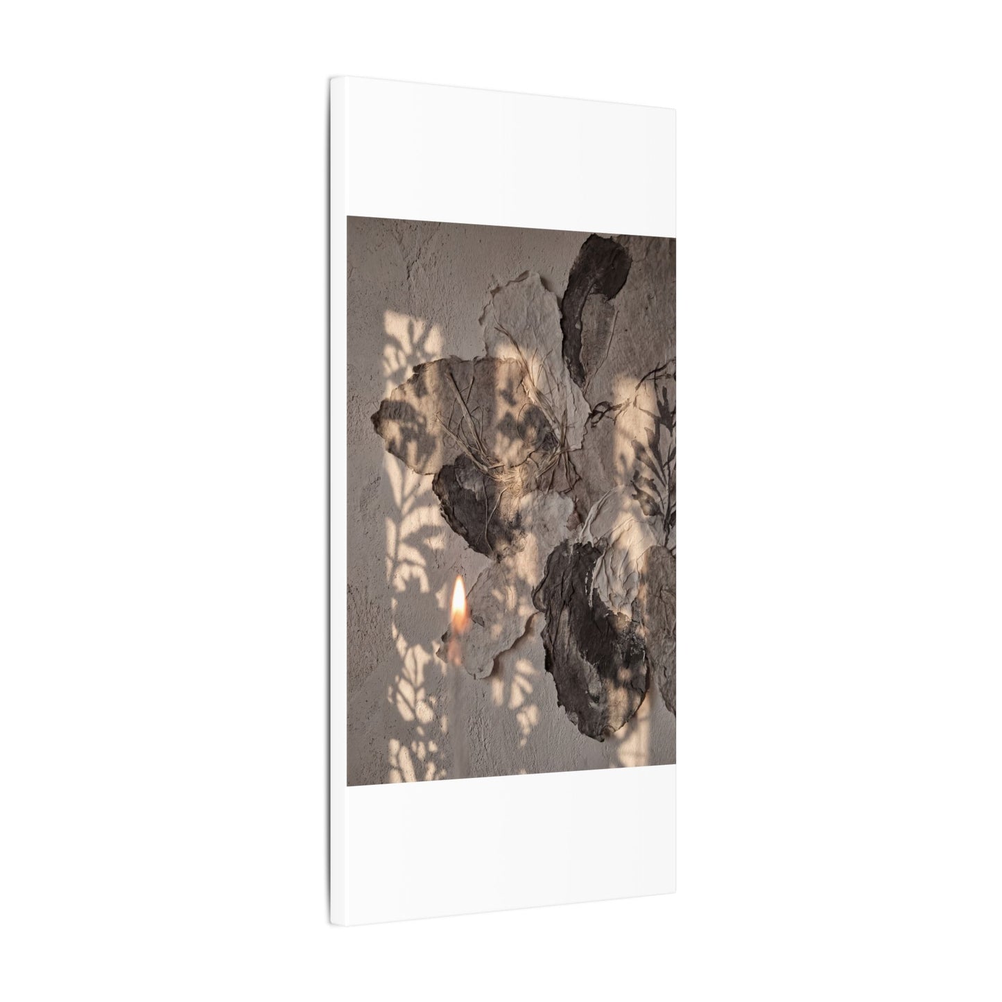 Shadow Play Summer Canvas Art | Japandi Elegant Design