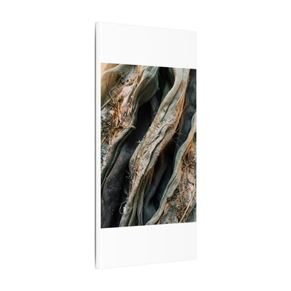 Silk Drape Winter Canvas Art | Japandi Cozy Design