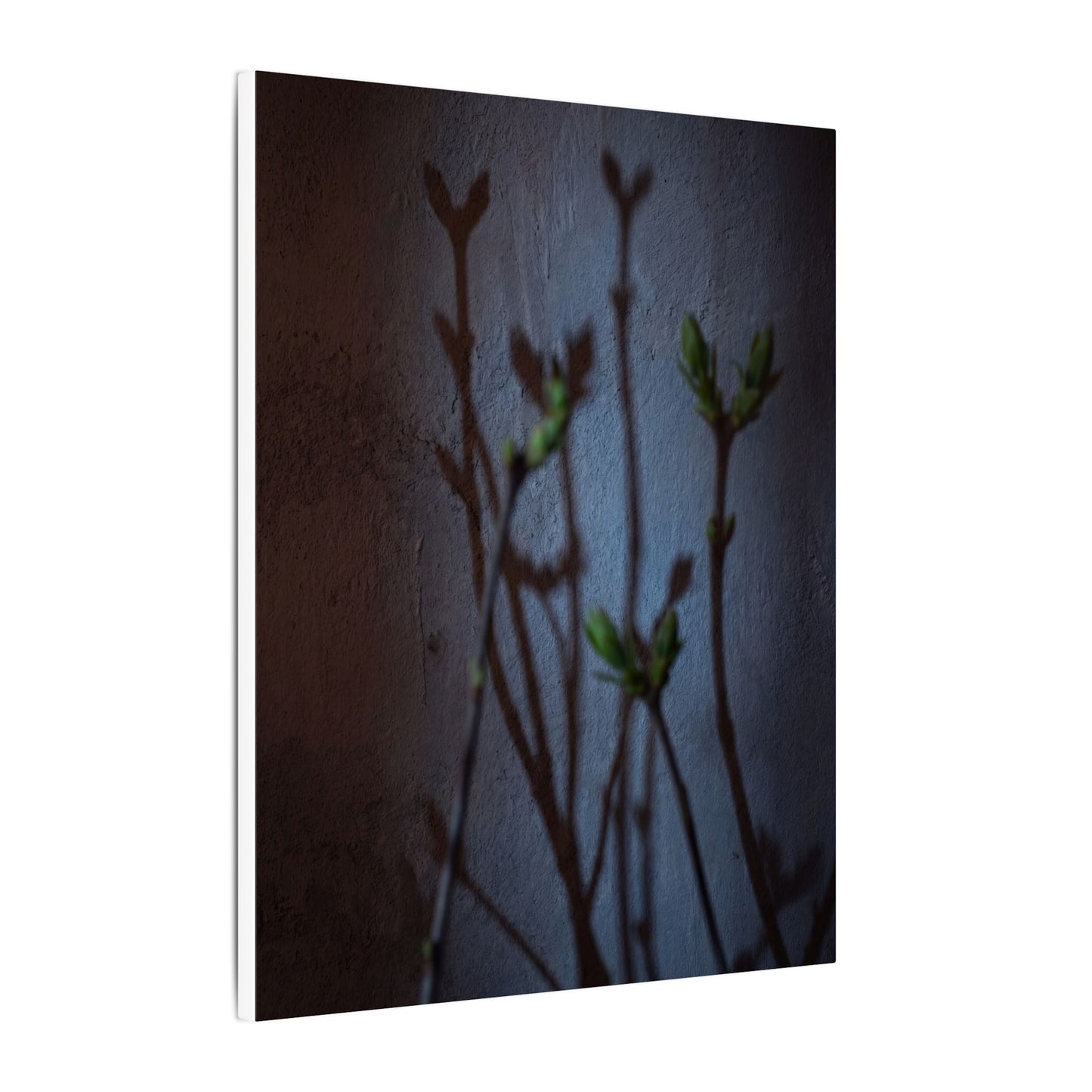 Shadow Play Spring Canvas Art | Dark Japandi Sophisticated Design