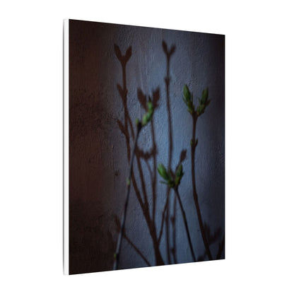 Shadow Play Spring Canvas Art | Dark Japandi Sophisticated Design