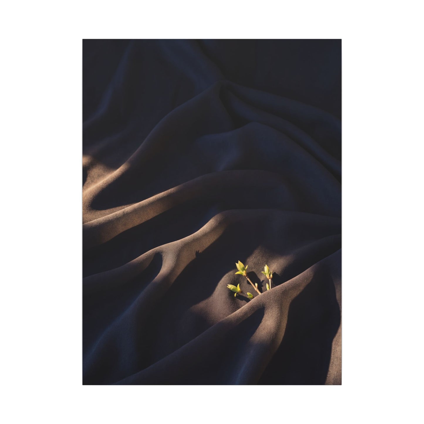 Silk Drape Shadow Zen Canvas Art | Luxurious Dark Japandi Art