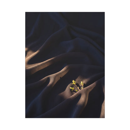 Silk Drape Shadow Zen Canvas Art | Luxurious Dark Japandi Art