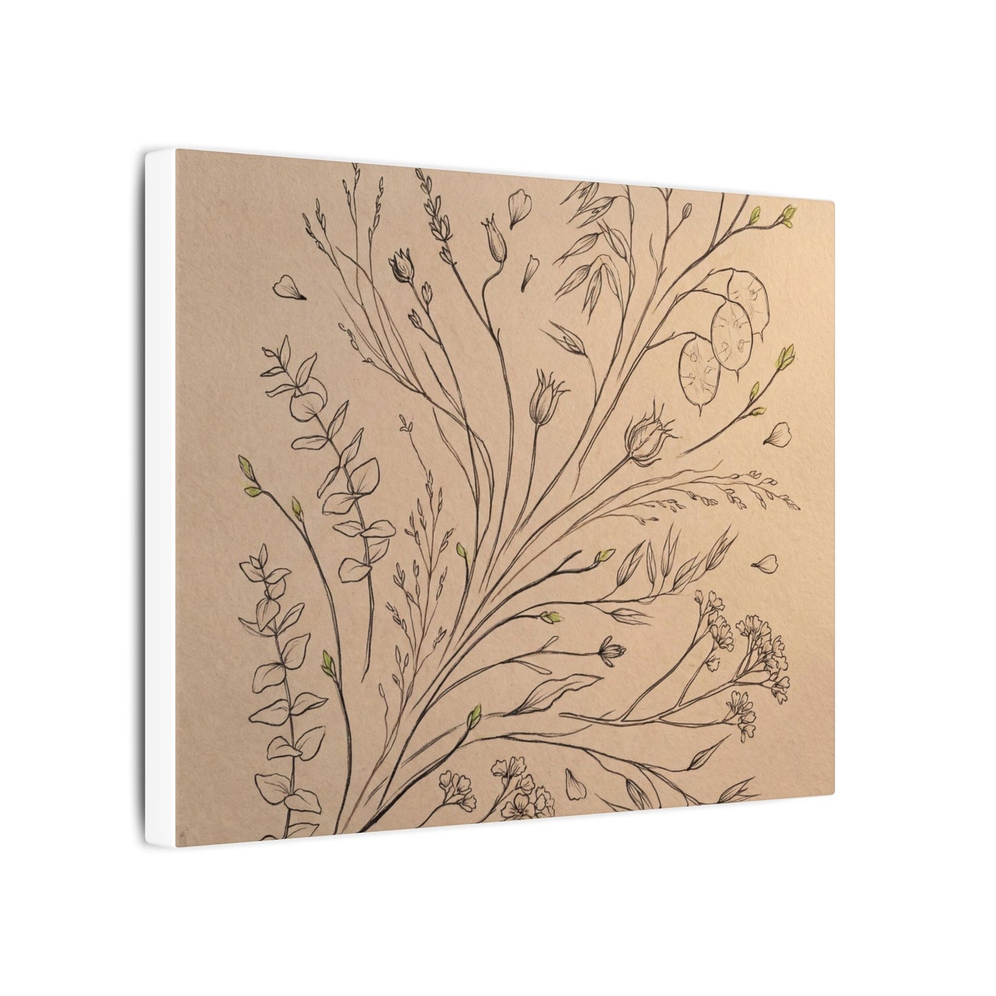 Japandi Dried Flowers in Golden Hour | Minimal Line Canvas Art