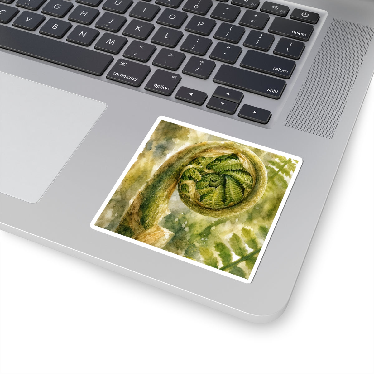 Japandi Fern Unfurling in Dappled | Watercolor Sticker
