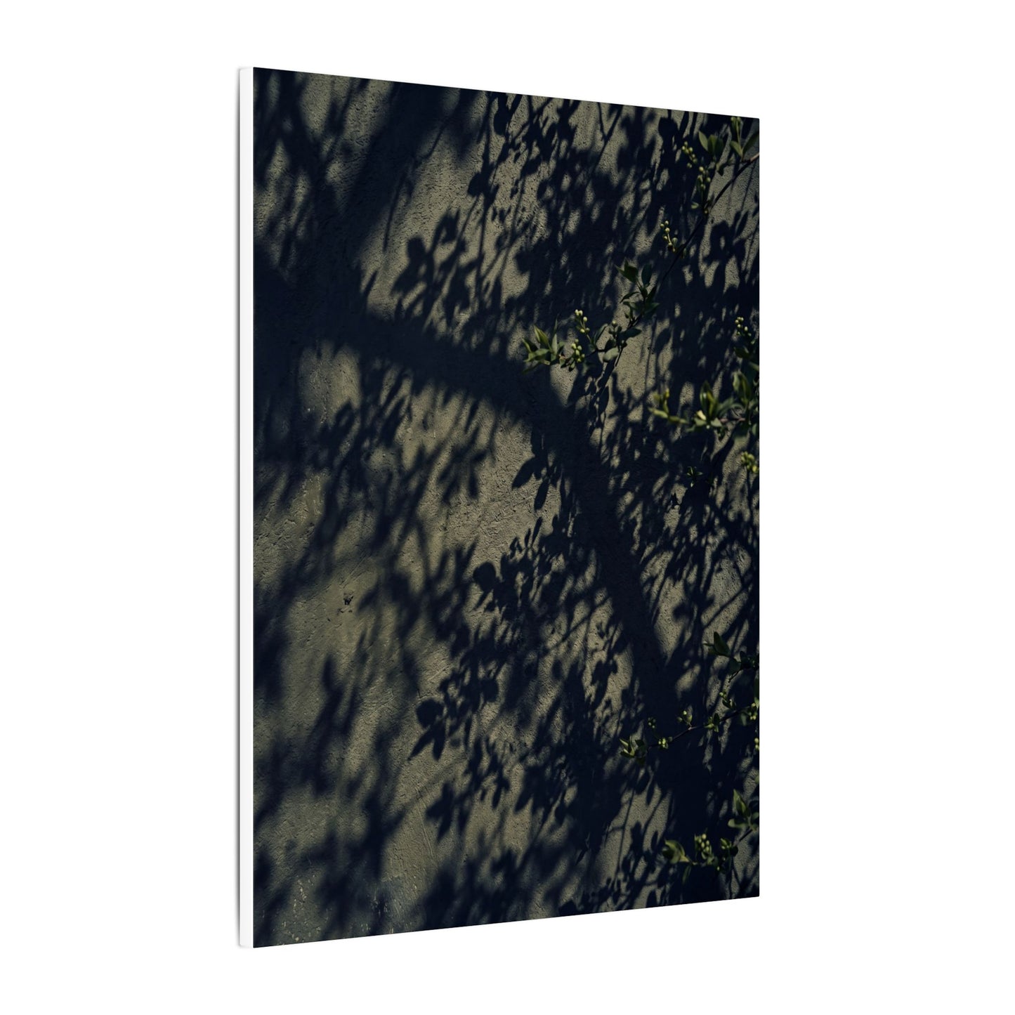 Atmospheric Shadow Play Canvas Art - Moody Minimal Dark Japandi
