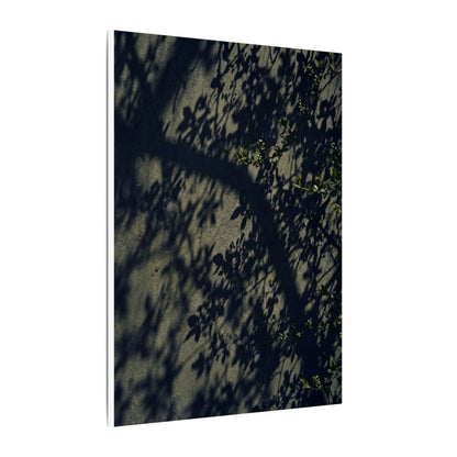 Atmospheric Shadow Play Canvas Art - Moody Minimal Dark Japandi