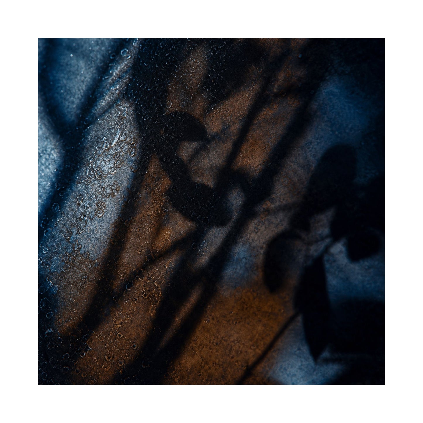 Winter Shadow Play Moody Minimal Wall Art Print | Luxurious Decor