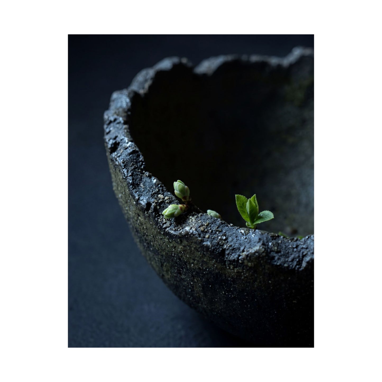 Datsuzoku Ceramic Bowl Wall Art Print - Dark Japandi Moody Minimal