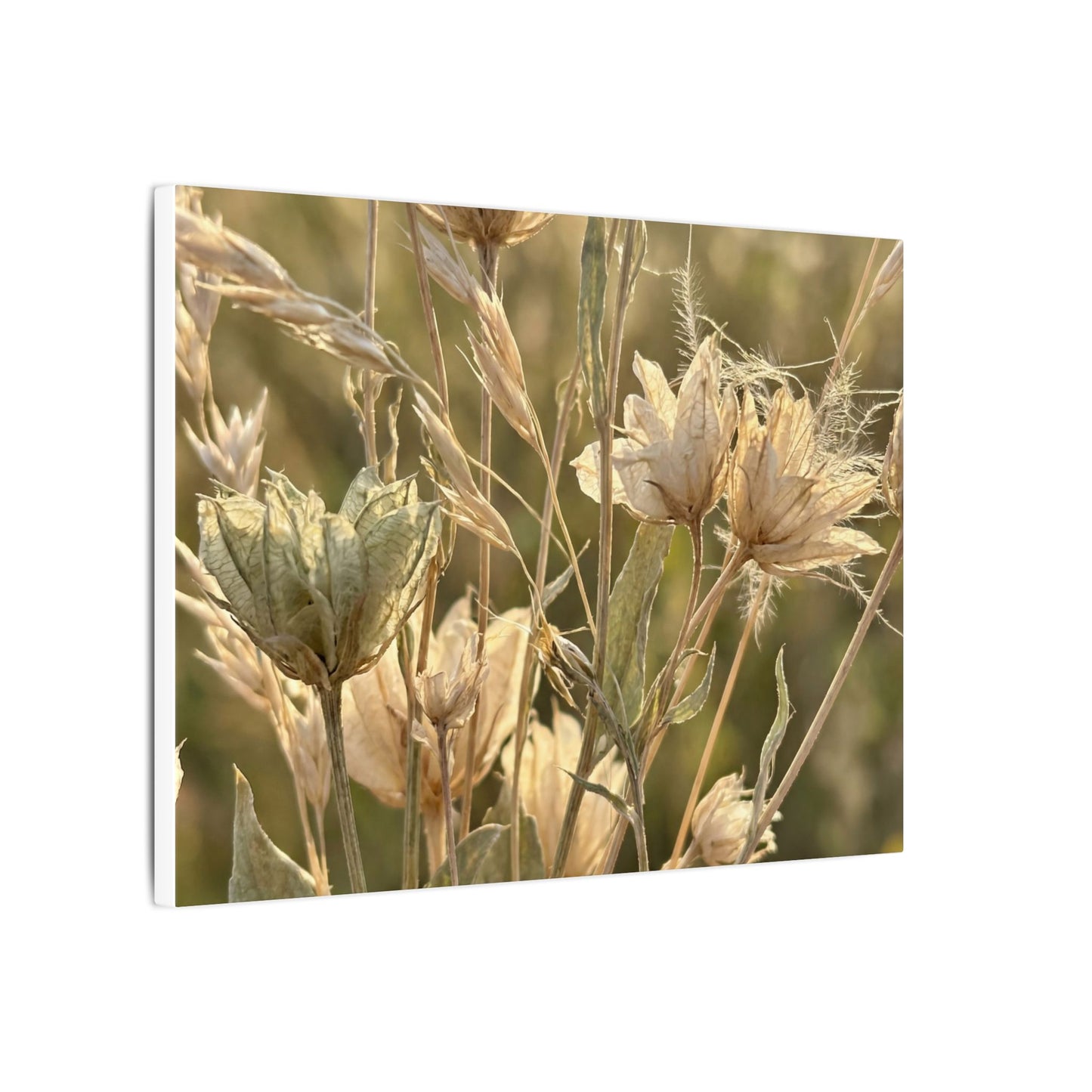 Summer Dried Flowers Minimal Line Canvas Art | Cozy Decor