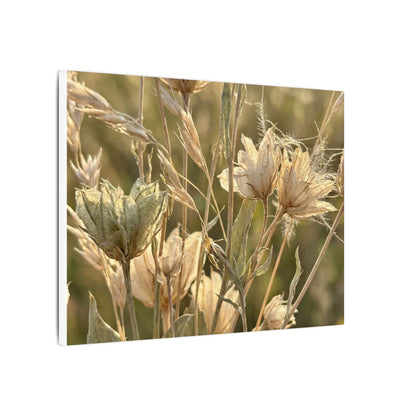Summer Dried Flowers Minimal Line Canvas Art | Cozy Decor