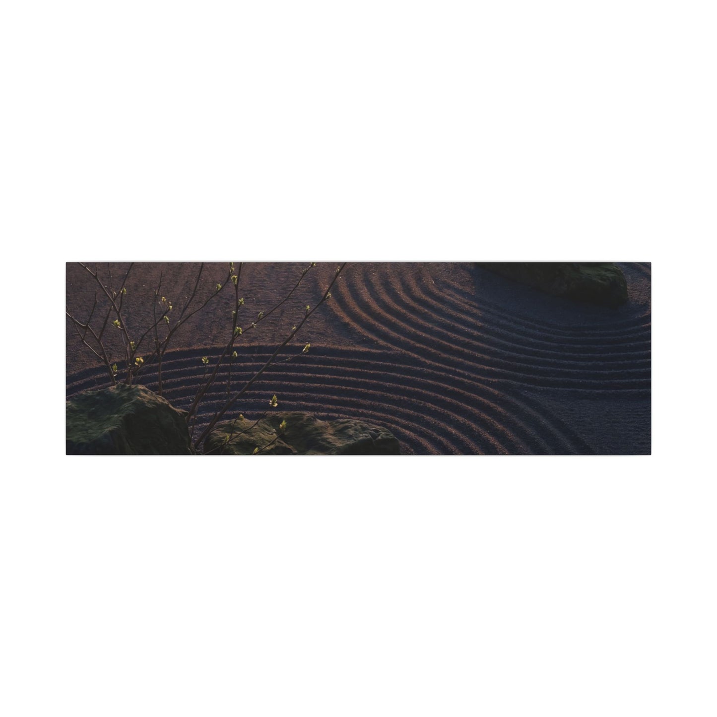Spring Rock Garden Shadow Zen Canvas Art | Luxurious Decor